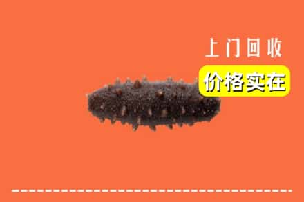 收购资讯:易县回收海参