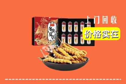 易县回收虫草